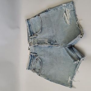 Brand New AGOLDE Riley Short Groove SZ 29